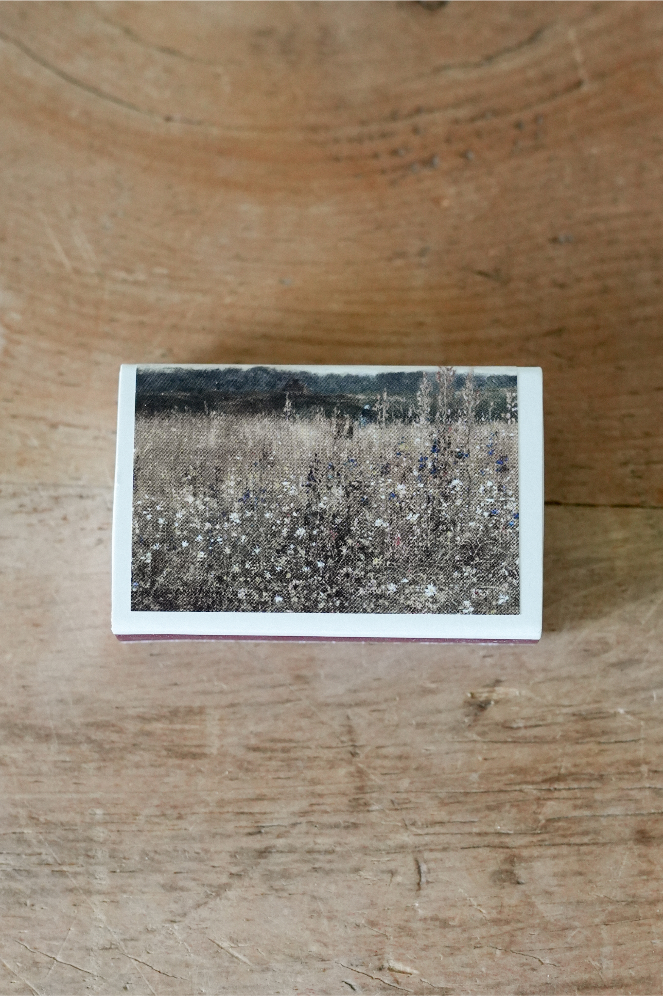 Mini Match Set · Wild Flowers