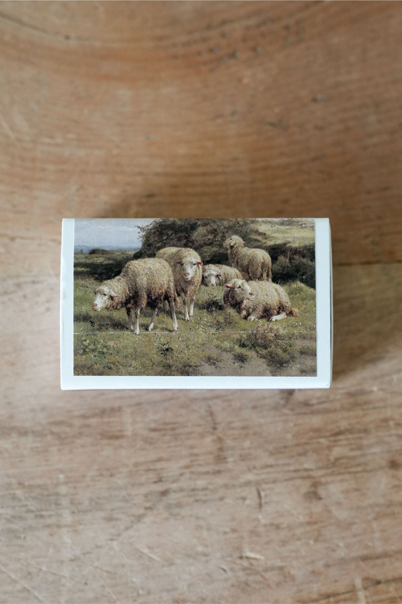 Mini Match Set · Sheep