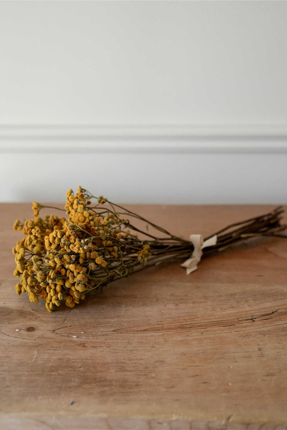 Yellow Tansy Dried Flower Bunch
