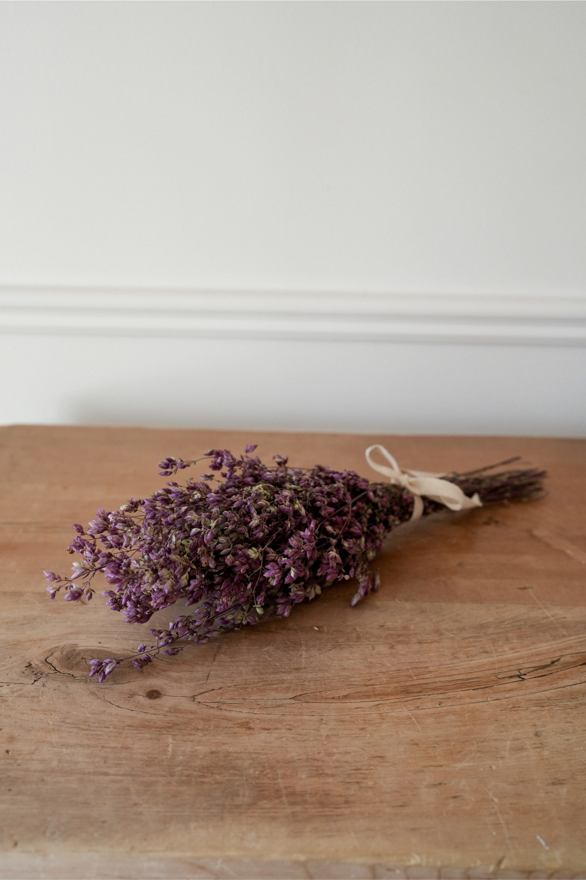Santa Cruz Oregano Dried Bunch