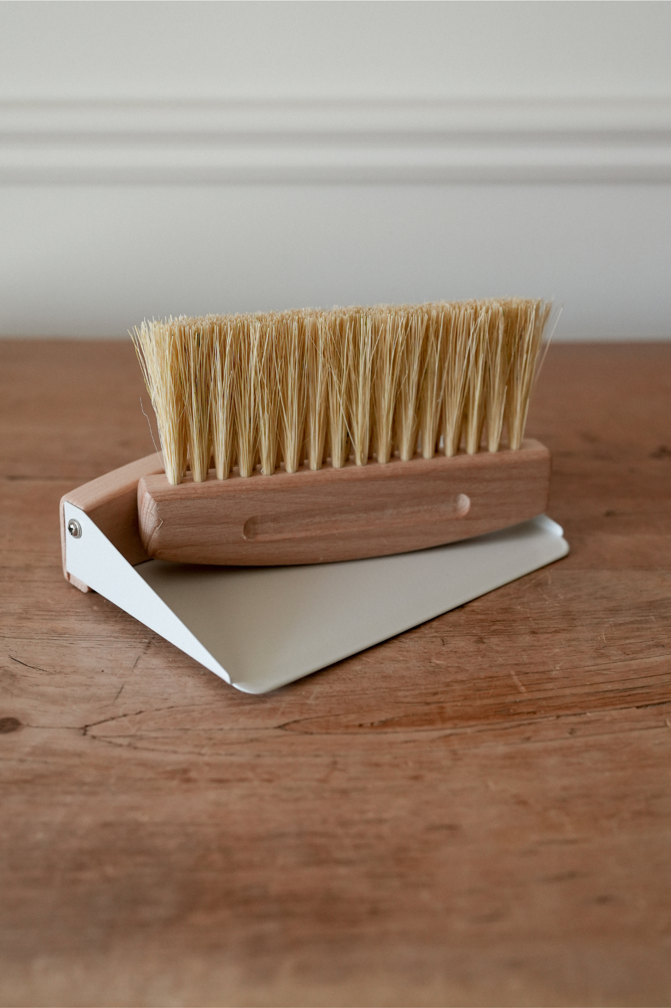 Mini Dustpan & Brush Set