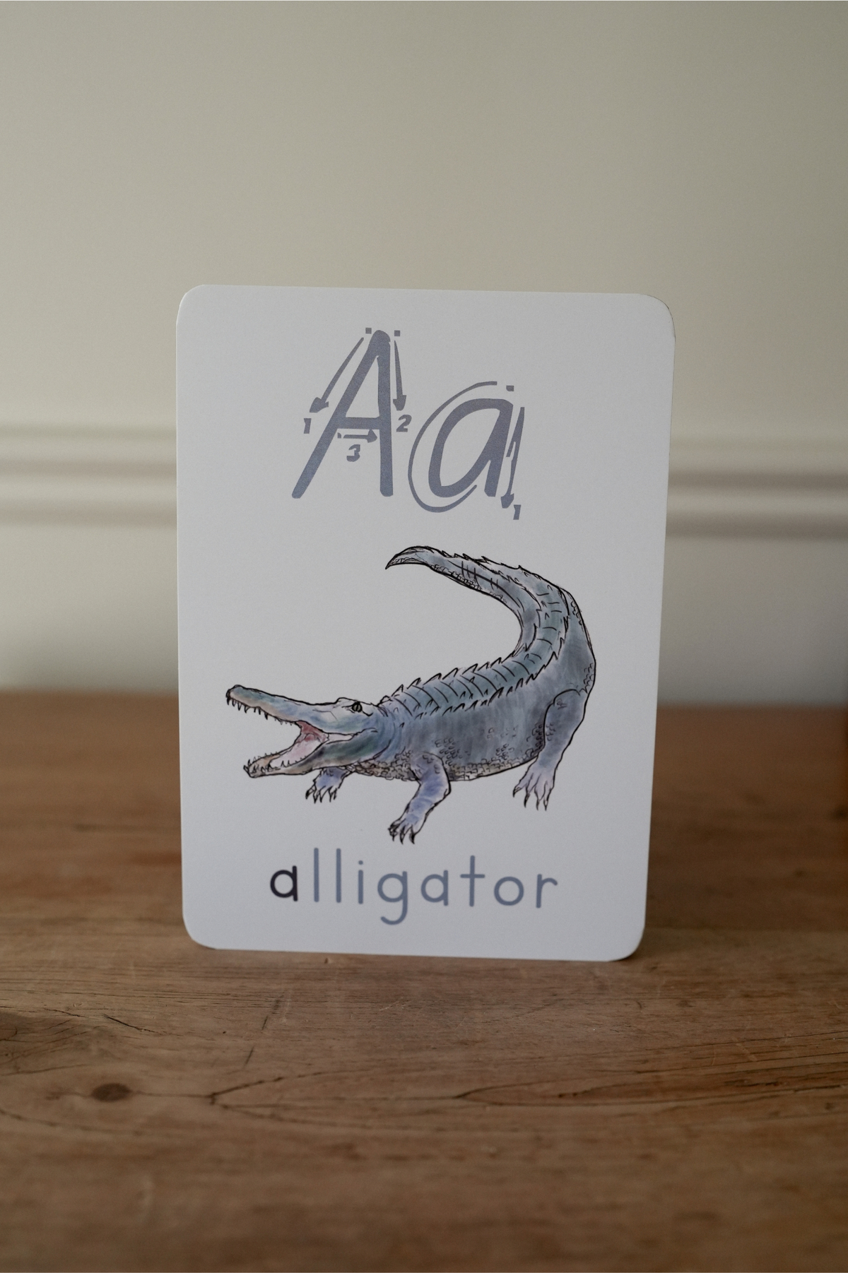 Animal ABC + 123 Flash Cards