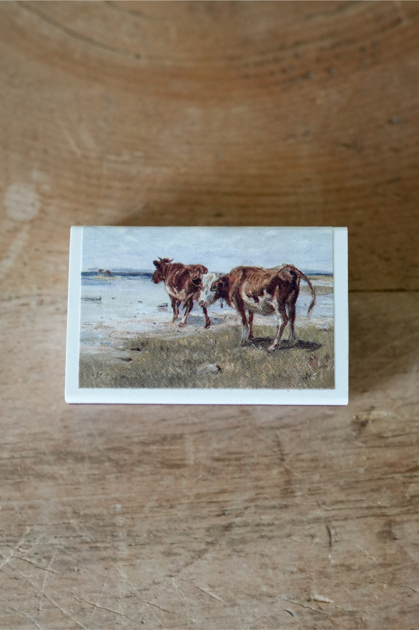 Mini Match Set · Cattle