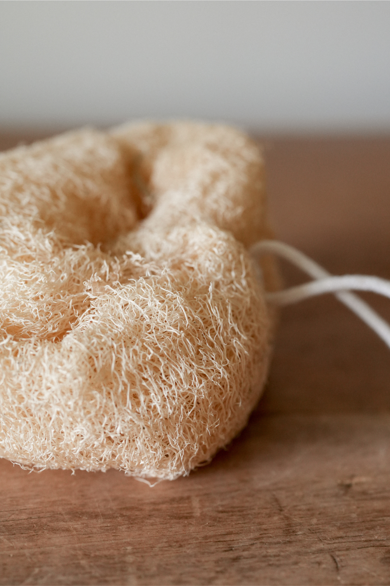 Natural Loofah Sponge