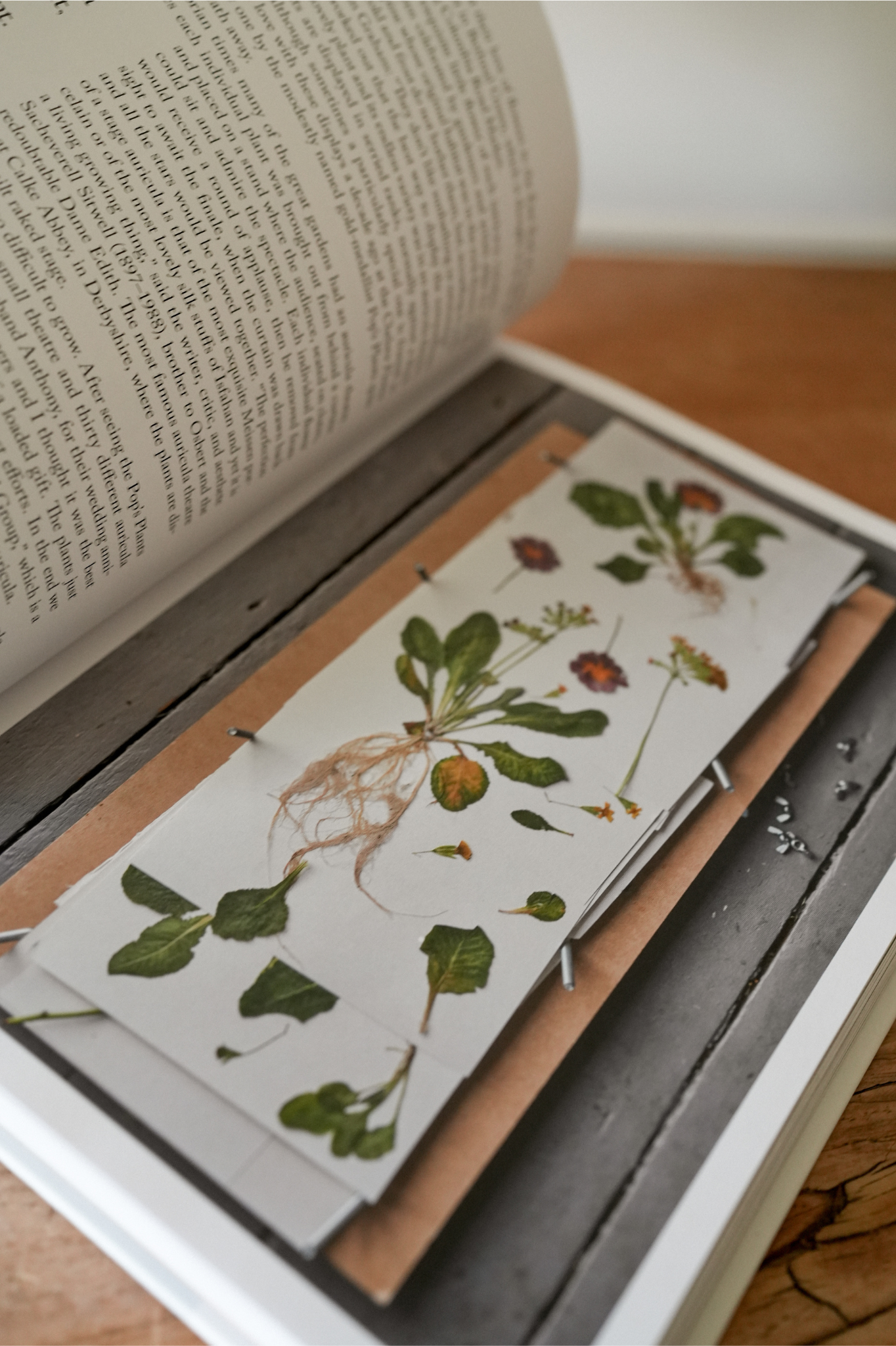 The Modern Flower Press