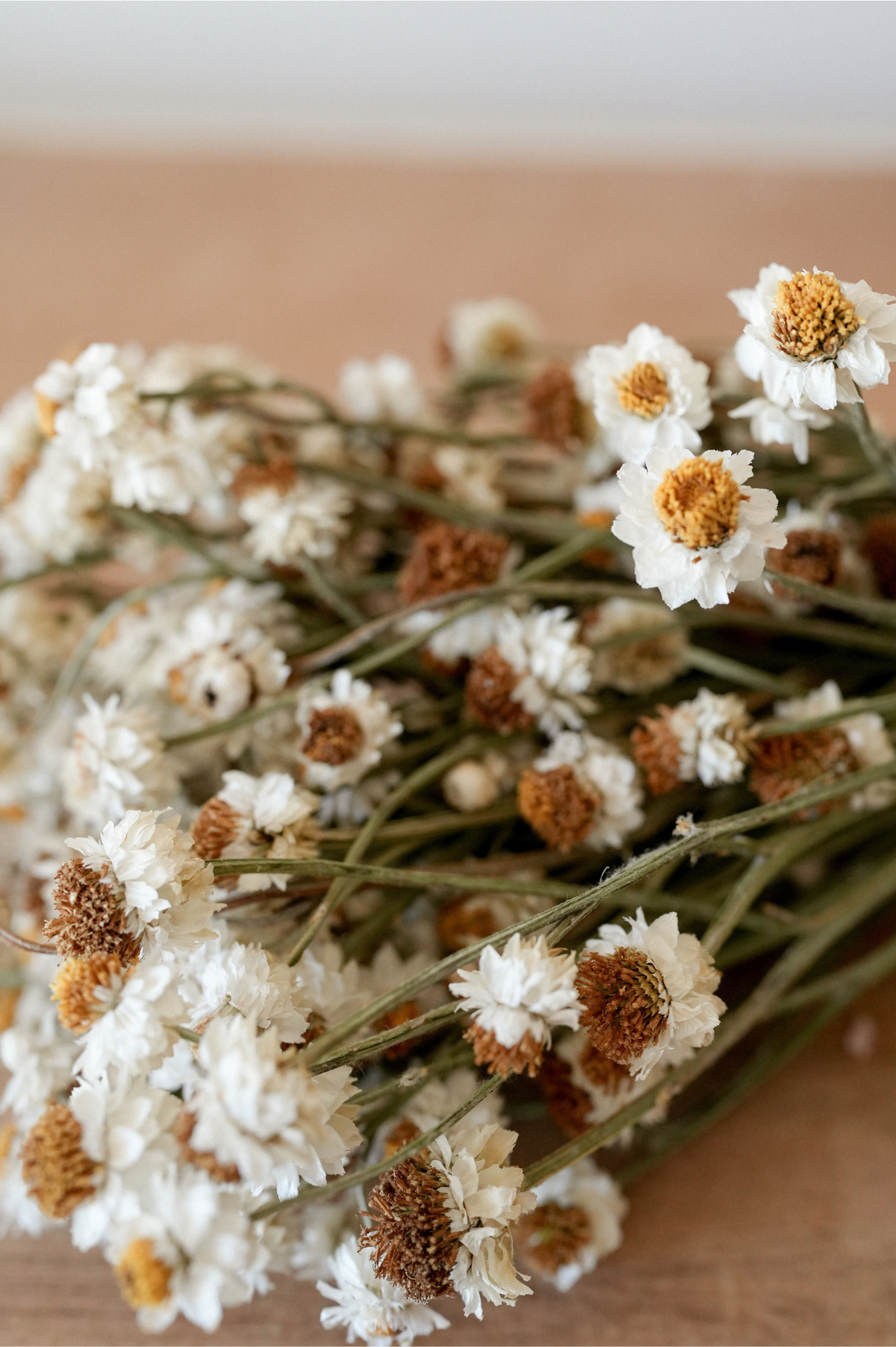 White Dried Flower Bunch