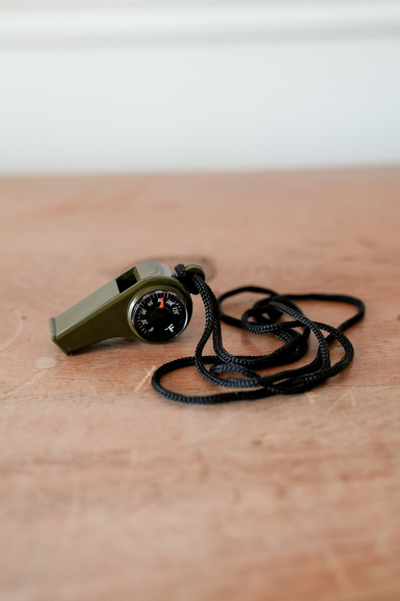 Whistle with Compass + Thermometer