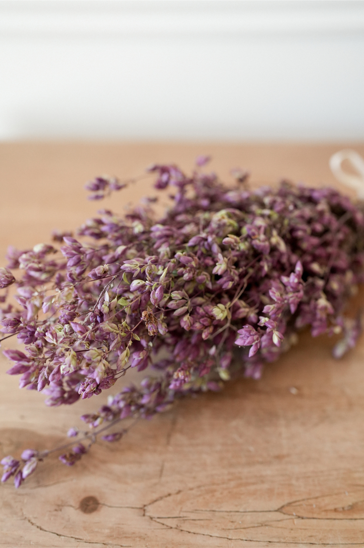 Santa Cruz Oregano Dried Bunch
