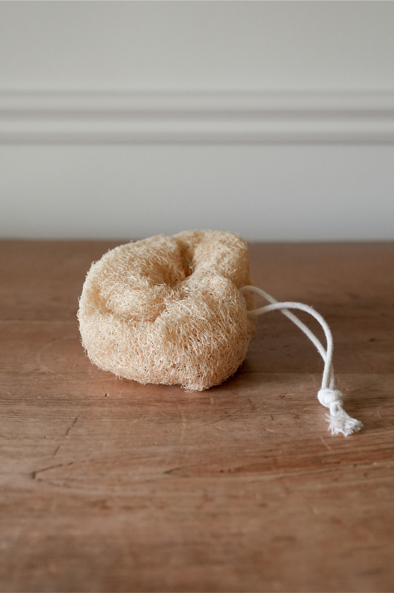 Natural Loofah Sponge